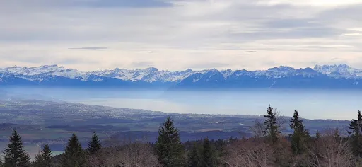 Bild von Chalet du Mollendruz