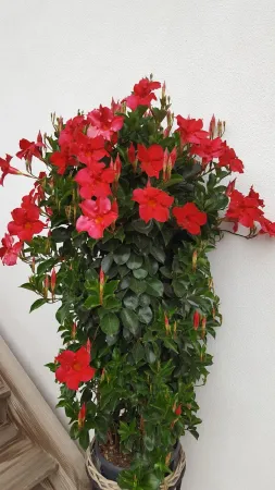 Bild von undefined