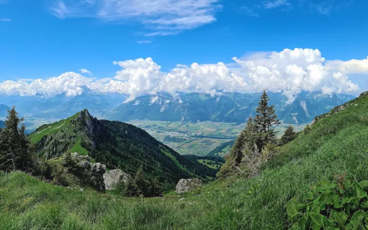 Bild von undefined