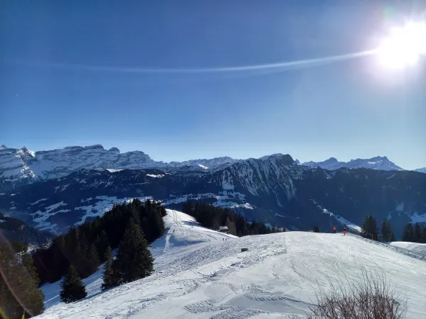 Bild von undefined