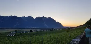 Grand Vignoble de Vers-pierraz , Yvorne Sa