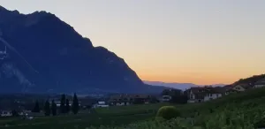 Grand Vignoble de Vers-pierraz , Yvorne Sa