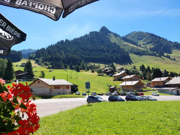 Bild von undefined