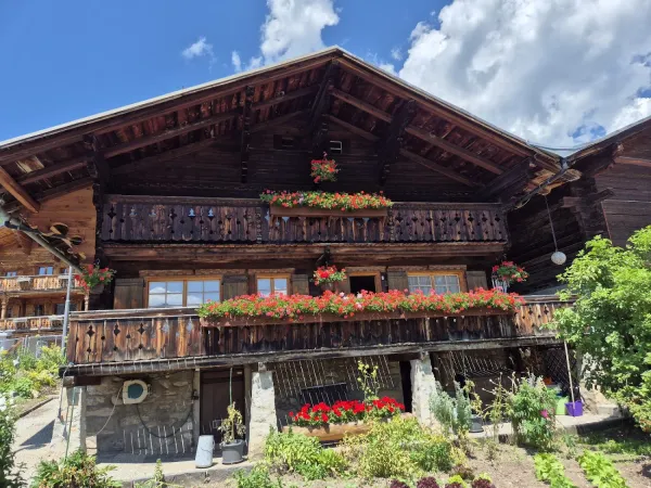 Bild von undefined