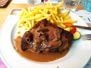 Barbaro
