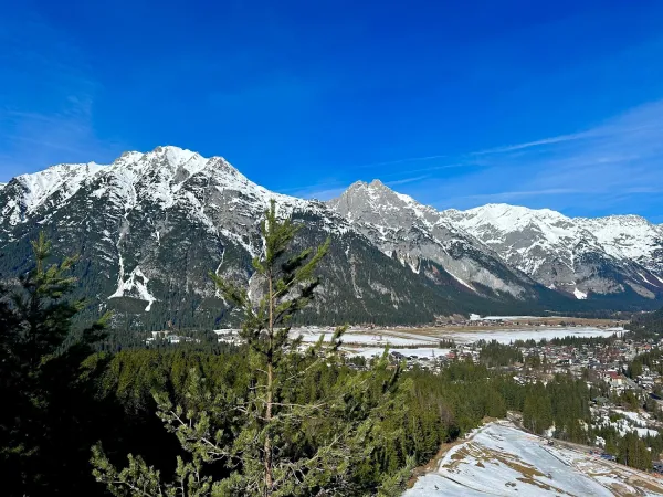 Bild von Florian Scheffel