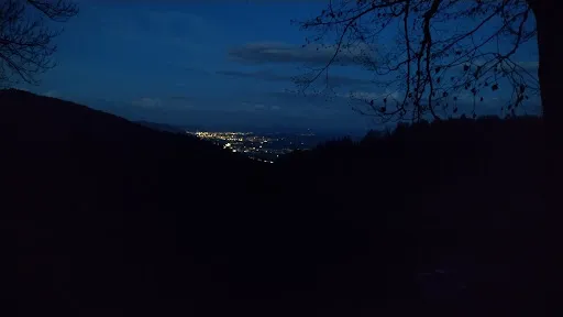 Bild von Restaurant zur Alp