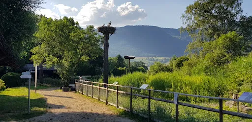 Bild von Restaurant Zum Grüene Aff