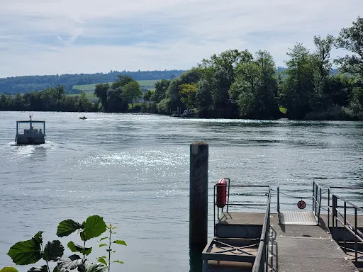 Bild von Restaurant Zum Grüene Aff