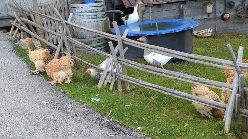 Bild von Restaurant Eggli Appenzell