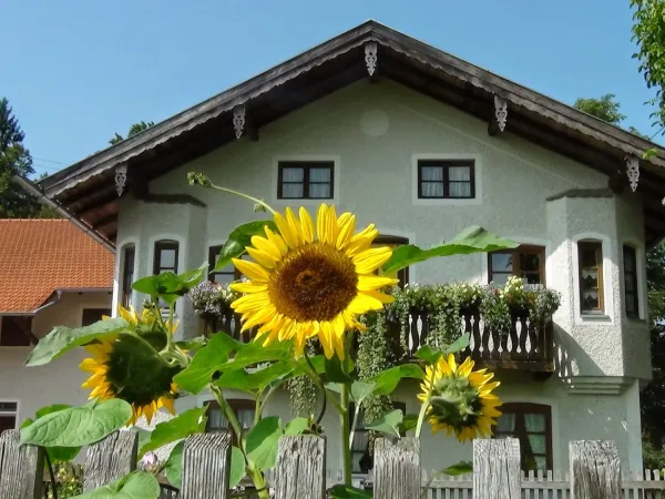 Bild von undefined