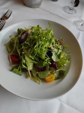 Bild von Zoo Restaurant Elefantenblick