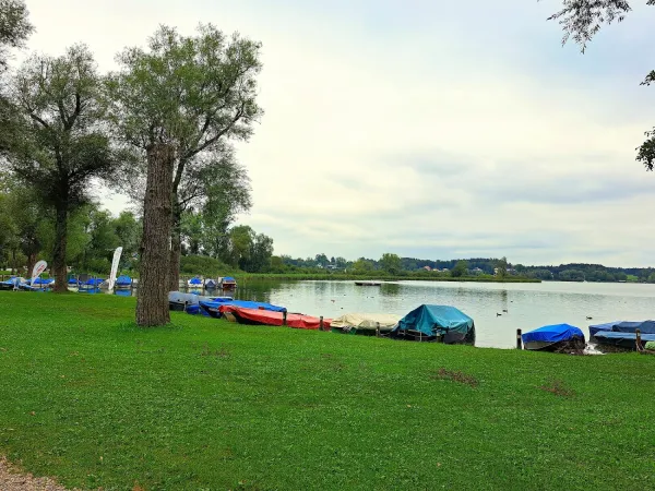 Bild von undefined