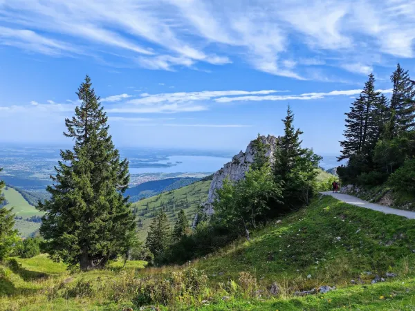 Bild von undefined