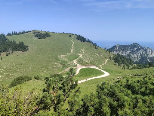 Bild von Steinlingalm - Josef und Michael Stein GbR