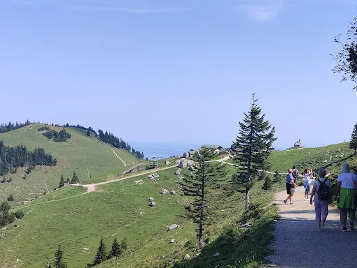 Bild von Steinlingalm - Josef und Michael Stein GbR