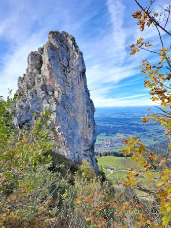 Bild von Steinlingalm - Josef und Michael Stein GbR