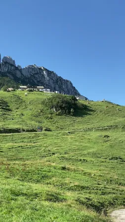 Bild von Steinlingalm - Josef und Michael Stein GbR