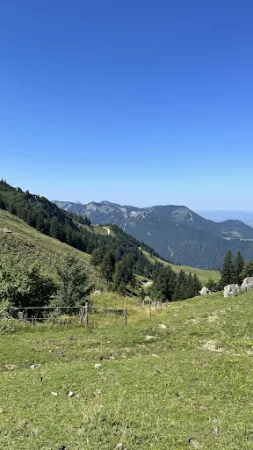 Bild von Steinlingalm - Josef und Michael Stein GbR