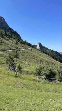 Bild von Steinlingalm - Josef und Michael Stein GbR