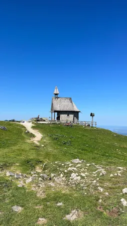 Bild von Steinlingalm - Josef und Michael Stein GbR