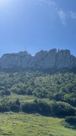 Bild von Steinlingalm - Josef und Michael Stein GbR