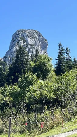 Bild von Steinlingalm - Josef und Michael Stein GbR