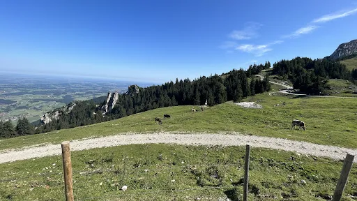 Bild von Steinlingalm - Josef und Michael Stein GbR