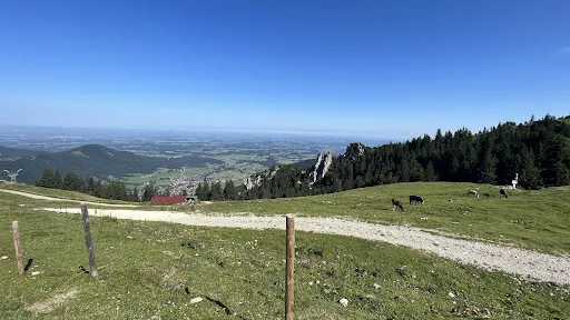 Bild von Steinlingalm - Josef und Michael Stein GbR