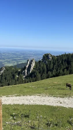 Bild von Steinlingalm - Josef und Michael Stein GbR