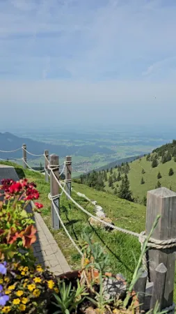 Bild von Steinlingalm - Josef und Michael Stein GbR