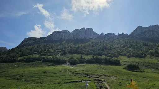 Bild von Steinlingalm - Josef und Michael Stein GbR