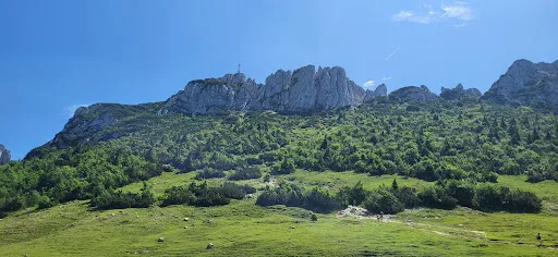 Bild von Steinlingalm - Josef und Michael Stein GbR