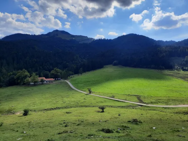 Bild von undefined