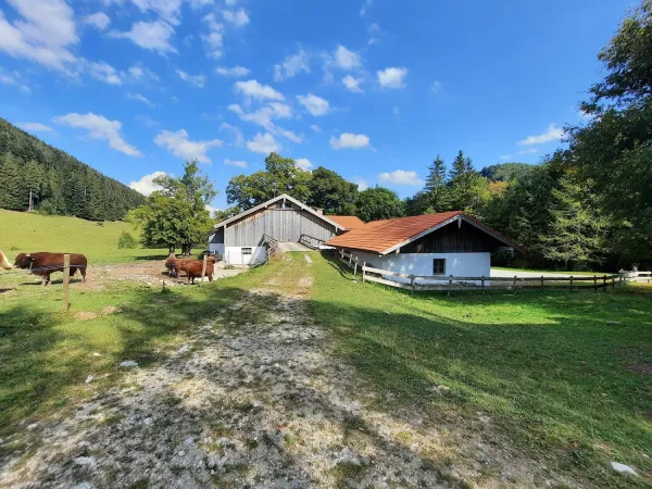 Bild von undefined