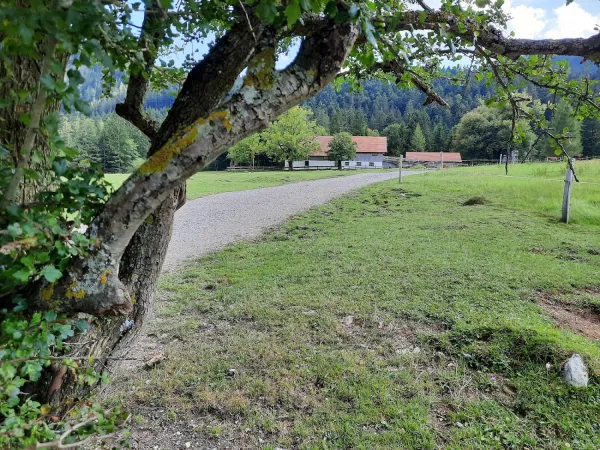Bild von undefined