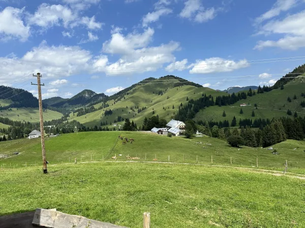 Bild von undefined