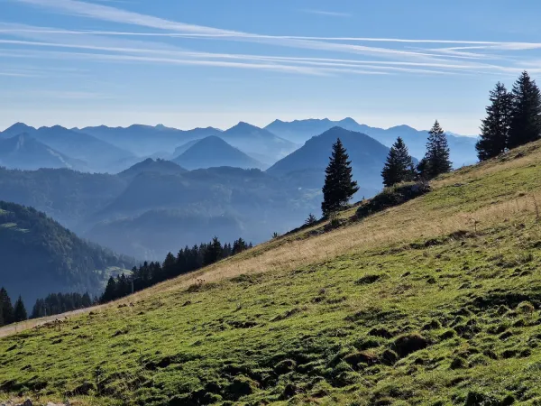 Bild von undefined