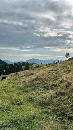 Bild von Brösel Alm