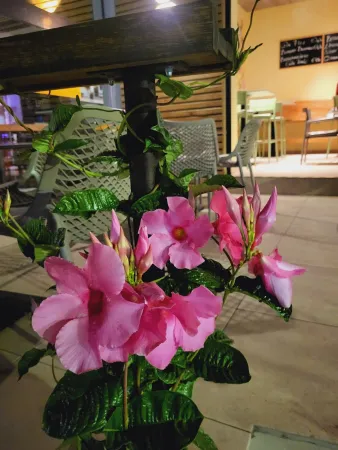 Bild von Cafe-Bar-Lounge Savaro