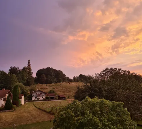 Bild von undefined