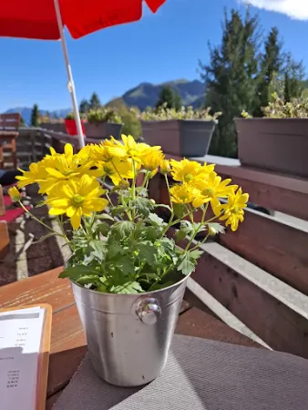 Bild von Almgasthof Grafenherberg