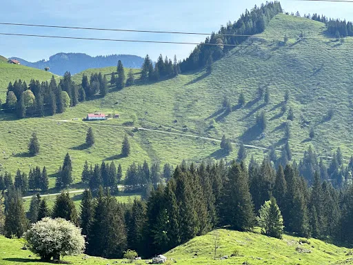 Bild von Almgasthof Grafenherberg
