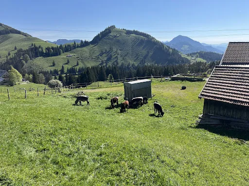 Bild von Almgasthof Grafenherberg