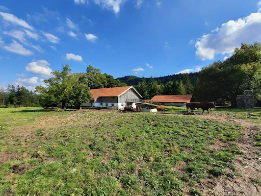 Bild von Gasthof Schlipfgrubalm