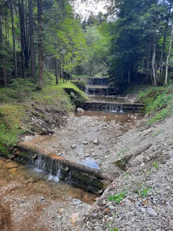Bild von Gasthof Schlipfgrubalm