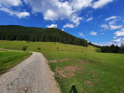 Bild von Gasthof Schlipfgrubalm