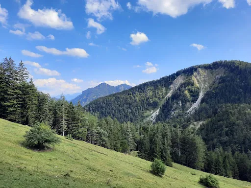 Bild von Gasthof Schlipfgrubalm