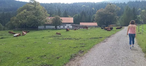 Bild von Gasthof Schlipfgrubalm