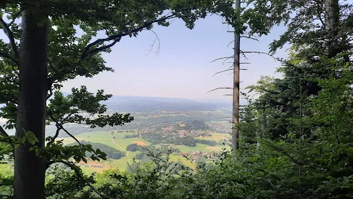 Bild von Gasthof Dandlberg Alm